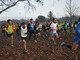 Verrone: Cross Due Laghetti, tutte le classifiche