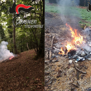 Carabinieri, sanzionati alcuni biellesi: attenzione ai fuochi e agli abbruciamenti in Piemonte FOTO