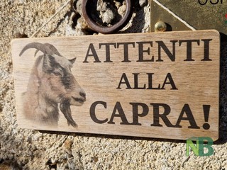 Tra le colline di Sagliano Cà d’Andrei racconta il Biellese più autentico FOTO e VIDEO