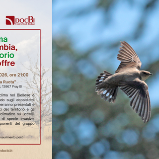 DocBi, cambiamenti climatici nel biellese: se ne parla a Pray