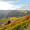 Dai sorì delle Langhe alla bottiglia: la filiera corta di Terrenostre Dai sorì delle Langhe alla bottiglia: la filiera corta di Terrenostre