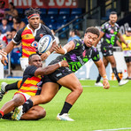 Un rinforzo per il pacchetto di mischia, ecco Nikolasi Muli per il Biella Rugby Un rinforzo per il pacchetto di mischia, ecco Nikolasi Muli per il Biella Rugby