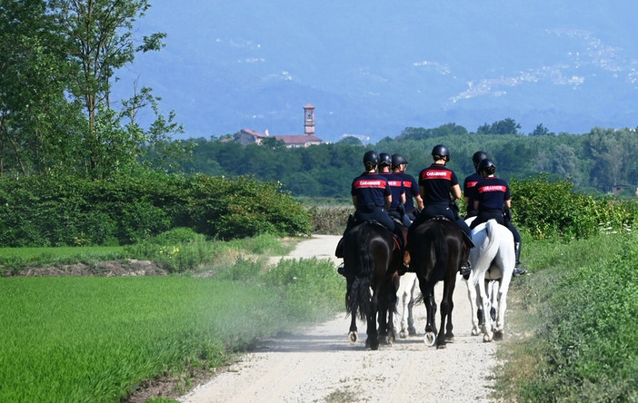 Maxi-servizio straordinario contro lo spaccio nei boschi biellesi, in azione anche i Carabinieri a cavallo FOTO e VIDEO