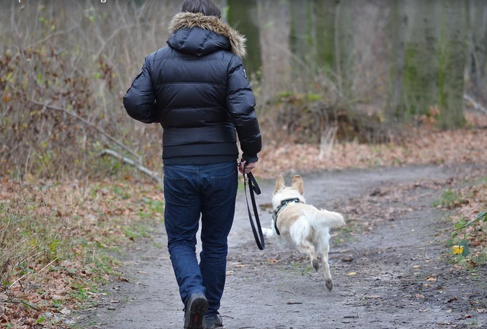 Inciviltà e sporcizia non per colpa dei cani….