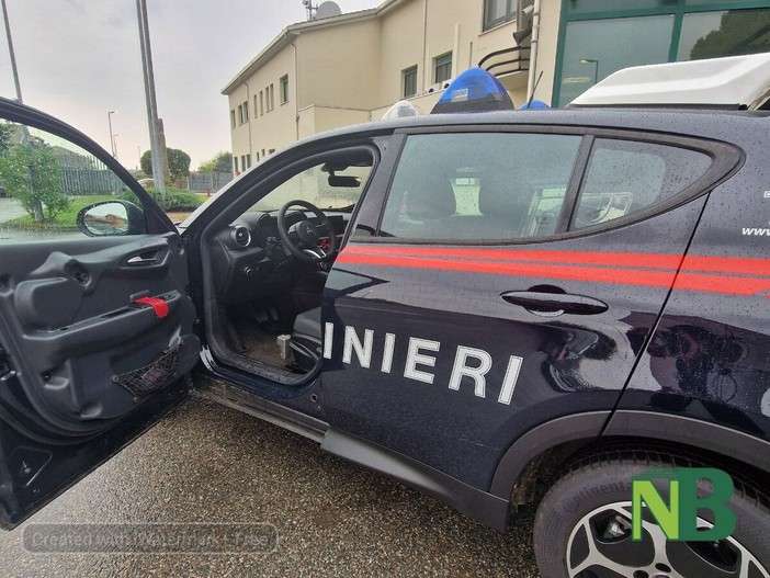 Liti, discussioni, aggressioni: nuovi interventi dei Carabinieri nella provincia (foto di repertorio) Liti, discussioni, aggressioni: nuovi interventi dei Carabinieri nella provincia (foto di repertorio)