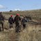 Fauna selvatica allo stremo dopo caldo, siccità e incendi: “Sospendere la caccia” Fauna selvatica allo stremo dopo caldo, siccità e incendi: “Sospendere la caccia”