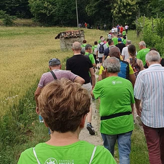 cavaglià camminata cavaglià camminata