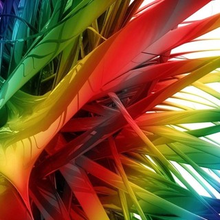 Lessona: In arrivo la prima edizione della Colors Running