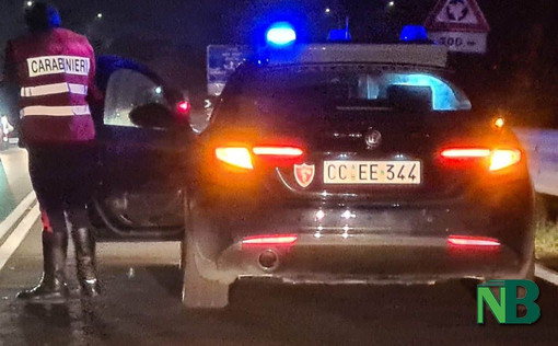 Mongrando, spunta animale selvatico sulla strada: l'auto lo travolge nella notte (foto di repertorio)