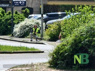 Biella, rilievi sul traffico per la pista ciclopedonale: coinvolti Itis e Gae Aulenti