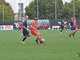 calcio biellese