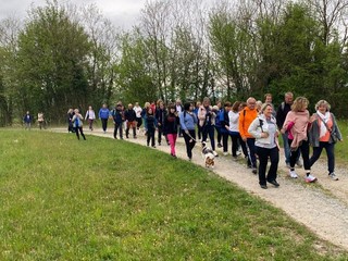 Giornata dei Camminatori Biellesi: oltre 300 persone a Salussola alla prima edizione Giornata dei Camminatori Biellesi: oltre 300 persone a Salussola alla prima edizione