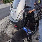 biella polizia biella polizia