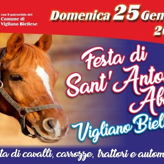 Festa di Sant’Antonio Abate: tradizione, fede e sfilata nel cuore di Vigliano