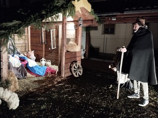 Ivo Bonato ospite a "Gelindo per una sera " al Presepe Gigante di Marchetto Ivo Bonato ospite a "Gelindo per una sera " al Presepe Gigante di Marchetto