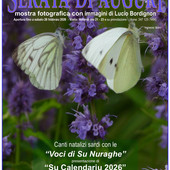 calendario nuraghe calendario nuraghe