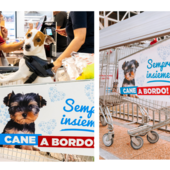 Shopping con il tuo amico a 4 zampe? Ora è possibile! Shopping con il tuo amico a 4 zampe? Ora è possibile!