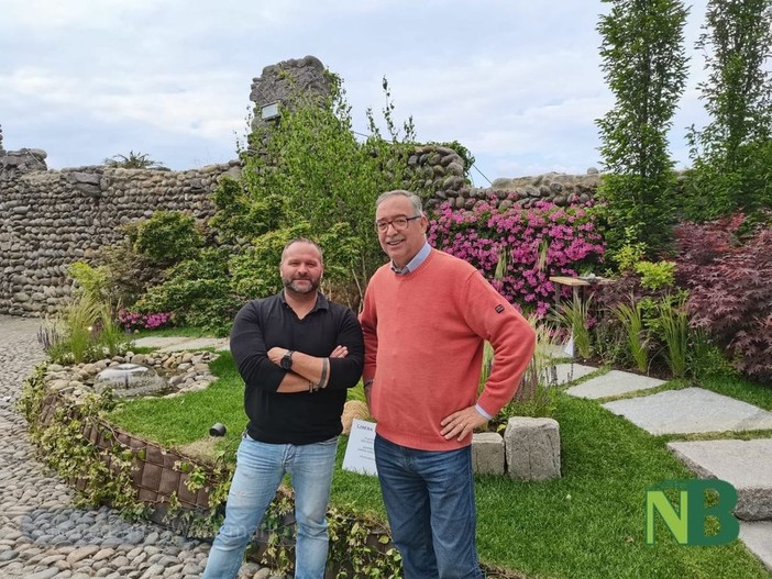 candelo gelone candelo gelone