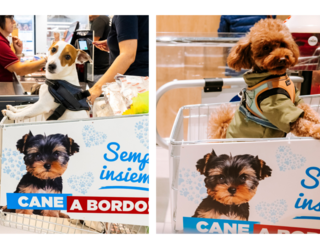 Shopping con il tuo amico a 4 zampe? Ora è possibile! Shopping con il tuo amico a 4 zampe? Ora è possibile!