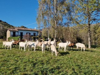 Tra le colline di Sagliano Cà d’Andrei racconta il Biellese più autentico FOTO e VIDEO