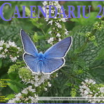 Copertina di “Su Calendariu 2026”