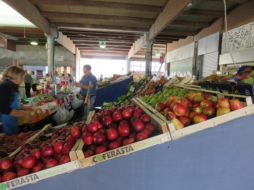 Cossato: Via ai lavori del mercato coperto, gli alimentari si spostano in piazza Croce Rossa Cossato: Via ai lavori del mercato coperto, gli alimentari si spostano in piazza Croce Rossa