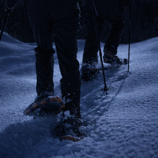 All'Oasi Zegna una ciaspolata sotto le stelle