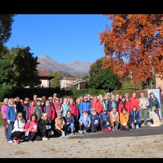 tollegno auser tollegno auser