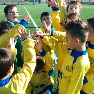 Calcio: Primi Calci 2010 del Città di Cossato partecipano ai Novarello Days FOTOGALLERY