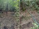 Filo teso tra due alberi nei boschi di Zubiena, ferito consigliere comunale sul quad: “Poteva finire in tragedia” Filo teso tra due alberi nei boschi di Zubiena, ferito consigliere comunale sul quad: “Poteva finire in tragedia”