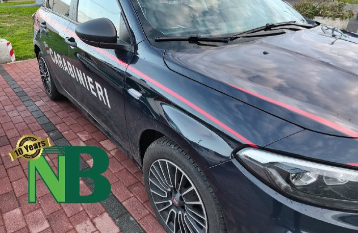 Scontro auto-bici a Vigliano, jeep travolge capriolo a Sostegno (foto di repertorio)