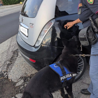biella polizia