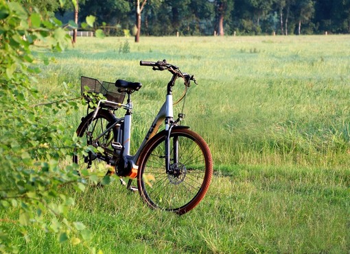 A Cossato è partito il conto alla rovescia per la Biciclettata ecologica 2026 (foto di repertorio) A Cossato è partito il conto alla rovescia per la Biciclettata ecologica 2026 (foto di repertorio)