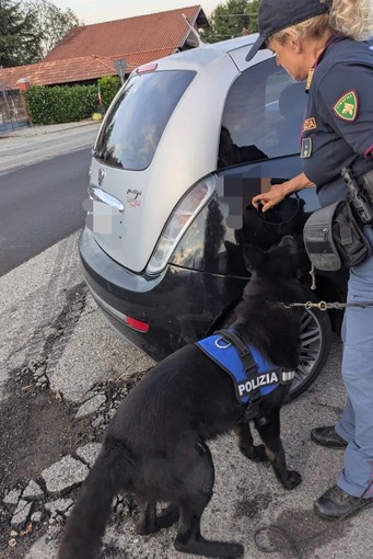 biella polizia biella polizia