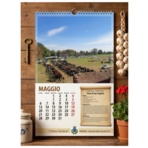 Borriana, al via il Calendario della Comunità: il paese si racconta attraverso foto, ricette e ricordi Borriana, al via il Calendario della Comunità: il paese si racconta attraverso foto, ricette e ricordi