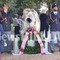 Ai Giardini Zumaglini un monumento per ricordare Francesco Cusano. Olivero: "Un'opera capace di parlare a tutti" FOTO e VIDEO Mattia Baù per newsbiella.it Ai Giardini Zumaglini un monumento per ricordare Francesco Cusano. Olivero: "Un'opera capace di parlare a tutti" FOTO e VIDEO Mattia Baù per newsbiella.it