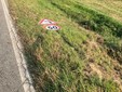 SP 402, abbattuti altri cartelli FOTO
