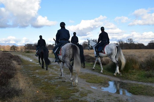 Spaccio nei boschi, i Carabinieri a cavallo presidiano il Biellese Spaccio nei boschi, i Carabinieri a cavallo presidiano il Biellese