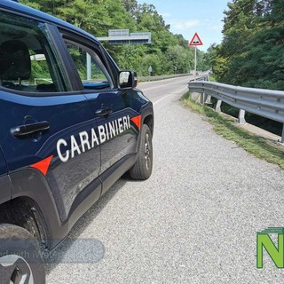 Auto nella cunetta e animale investito: doppio incidente in Superstrada (foto di repertorio)