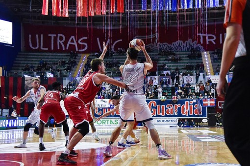 basket basket