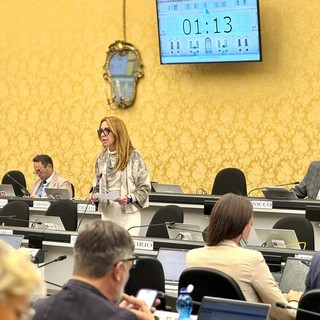 Bullismo e cyberbullismo, il Piemonte non resta a guardare: approvato il nuovo piano triennale Bullismo e cyberbullismo, il Piemonte non resta a guardare: approvato il nuovo piano triennale