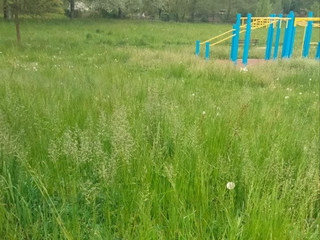 Buona volontà e senso civico: cittadini si prendono cura del parco di Chiavazza