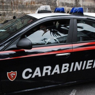 Colpo notturno alla Maison Pellet di Brusnengo: rubati sacchi di materiale combustibile Colpo notturno alla Maison Pellet di Brusnengo: rubati sacchi di materiale combustibile