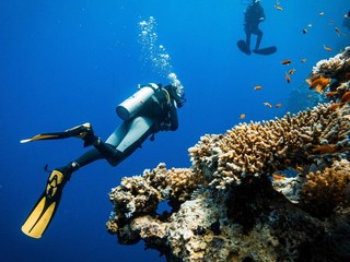 Domenica a Torino la prima gara della squadra agonistica del Circolo Subacquei Biella FOTO Sergio Carmigno