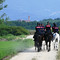 Maxi-servizio straordinario contro lo spaccio nei boschi biellesi, in azione anche i Carabinieri a cavallo FOTO e VIDEO Maxi-servizio straordinario contro lo spaccio nei boschi biellesi, in azione anche i Carabinieri a cavallo FOTO e VIDEO