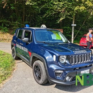 Biella, aveva con sé 70 grammi di cocaina: uomo fermato dai Carabinieri nei boschi (foto di repertorio)