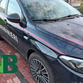 Cinghiale sulla strada, l'auto non riesce ad evitarlo: è successo a Crevacuore (foto di repertorio) Cinghiale sulla strada, l'auto non riesce ad evitarlo: è successo a Crevacuore (foto di repertorio)