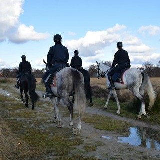 Spaccio nei boschi, i Carabinieri a cavallo presidiano il Biellese Spaccio nei boschi, i Carabinieri a cavallo presidiano il Biellese