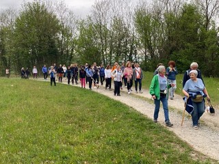 Giornata dei Camminatori Biellesi: oltre 300 persone a Salussola alla prima edizione Giornata dei Camminatori Biellesi: oltre 300 persone a Salussola alla prima edizione