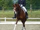 Equitazione - Grasso secondo ai regionali di dressage